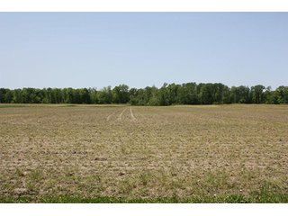 Property photo 9 - LAND AUCTION - 389.5+/- ACRES IN 11 TRACTS IN SULLIVAN COUNTY, INDIANA